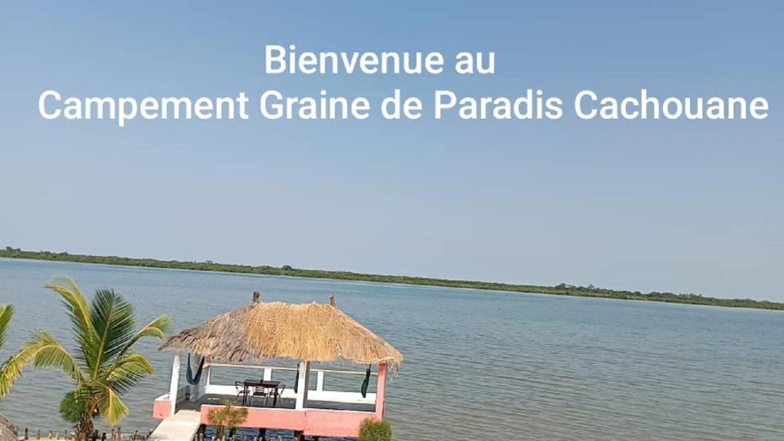 Campement Graine De Paradis Kachiouane Luaran gambar